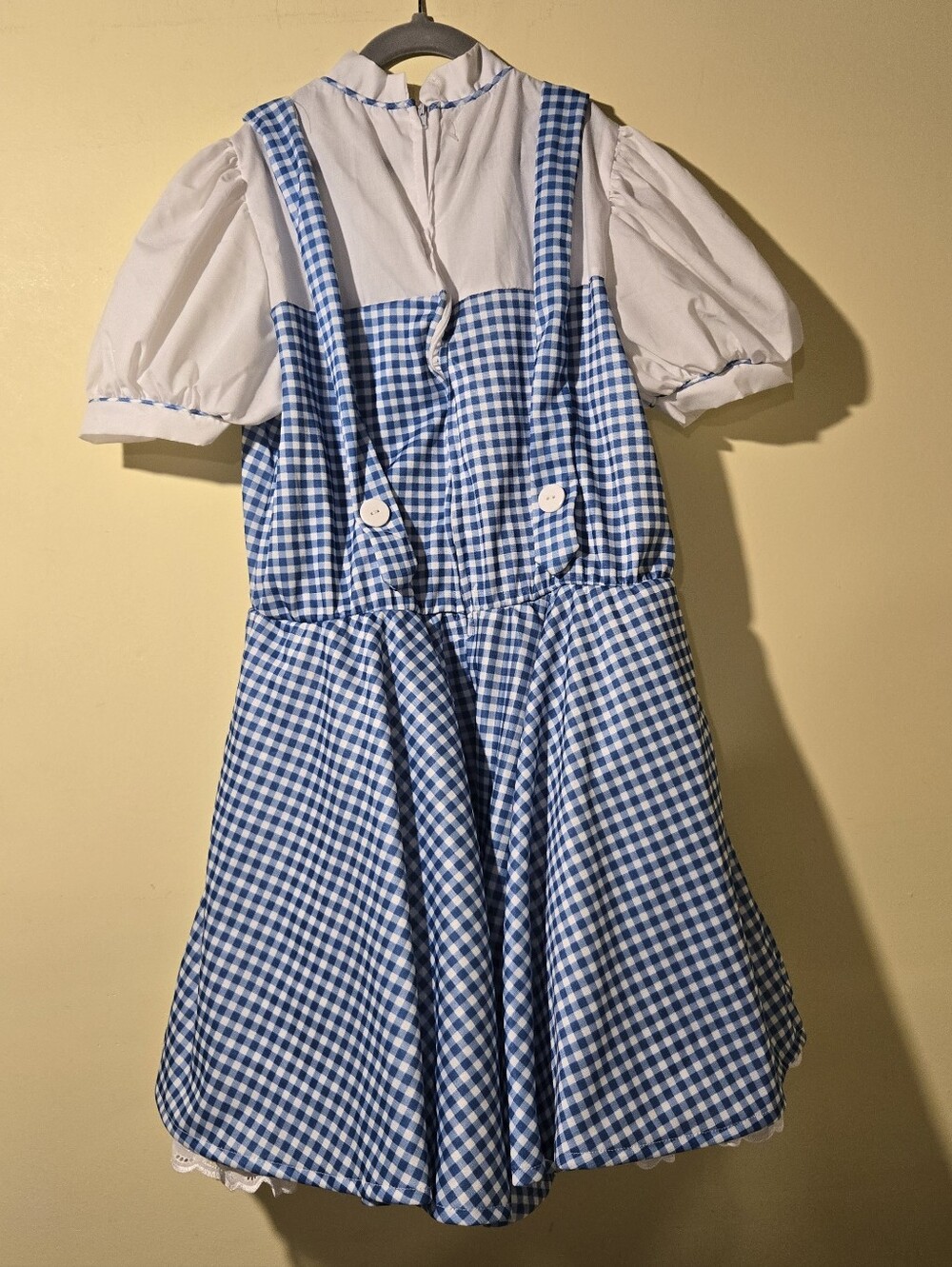 Girl's "Dorothy" (Wizard Of Oz) Dress. - Picture 3 of 4